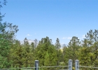 31 Wild Irishman Lane photo 32 31 Wild Irishman Lane photo 32