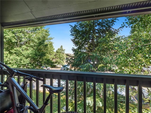 258 Cove Boulevard 4 photo 16