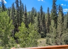 224 Trailhead Drive 3080 photo 26 224 Trailhead Drive 3080 photo 26