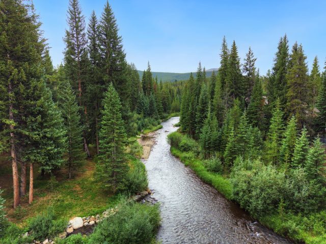 87 Wagon Road photo 5