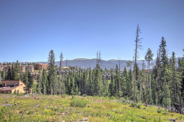 10000 Ryan Gulch Road 115 photo 30