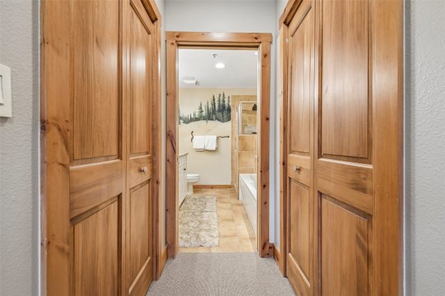 224 Trailhead Drive 3079 photo 30