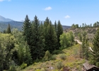79 Johnson Road photo 11