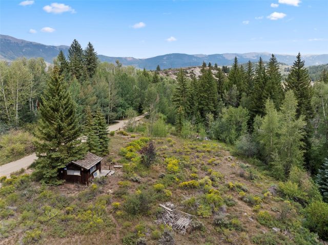 79 Johnson Road photo 12