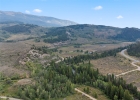 79 Johnson Road photo 3
