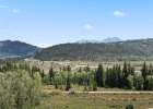 79 Johnson Road photo 8