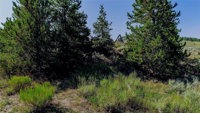 889 E Anemone Trail photo 40