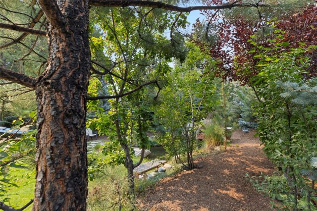 207 Emily Lane photo 15