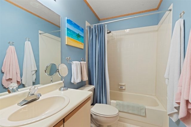 207 Emily Lane photo 42