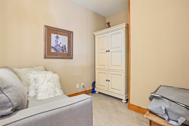 224 Trailhead Drive 3064 photo 31