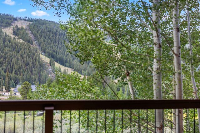 60 Oro Grande Drive 203 photo 25