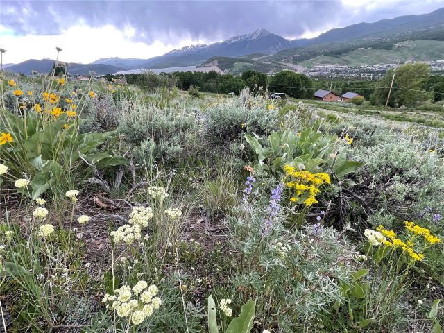 Residential in Government Tracts 6-5-77 Sub, Silverthorne, CO (MLS S1070960)