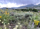 371 Z Road photo 1