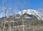 371 Z Road photo 36
