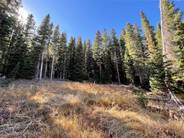 Land in Quandary Village Sub Aka Northstar Village, Breckenridge, CO (MLS S1070963)