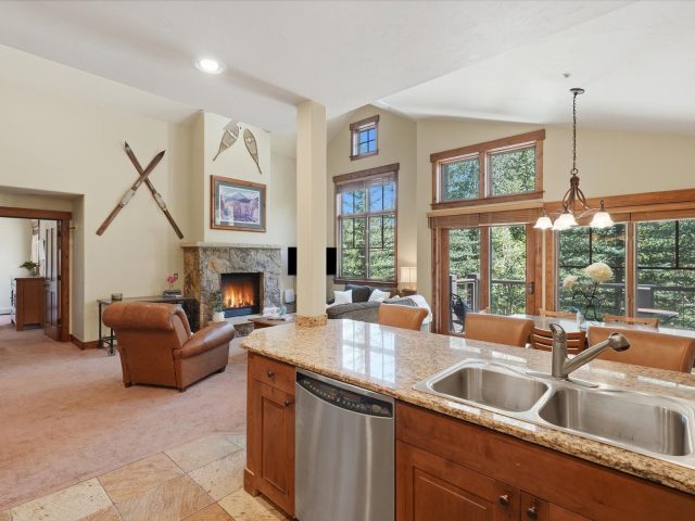 63 Mountain Thunder Drive 304 photo 13