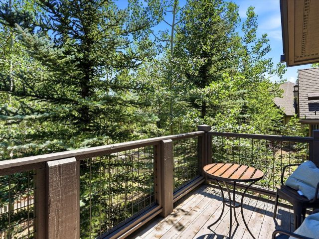 63 Mountain Thunder Drive 304 photo 19