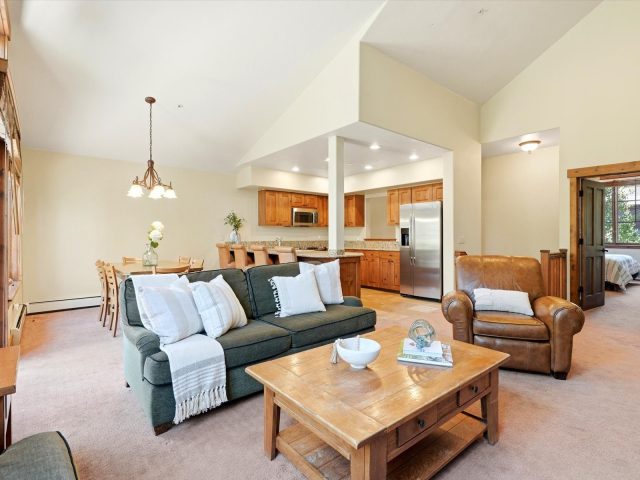 63 Mountain Thunder Drive 304 photo 8
