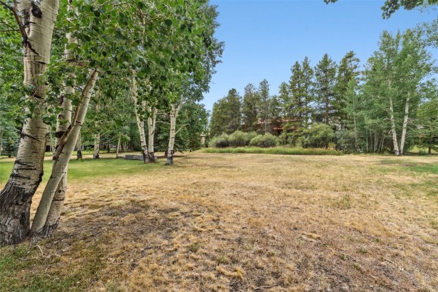 109 Hawn Drive 109 photo 45