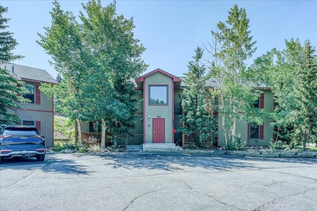 Condo in Wildflower Condo, Breckenridge, CO (MLS S1071049)