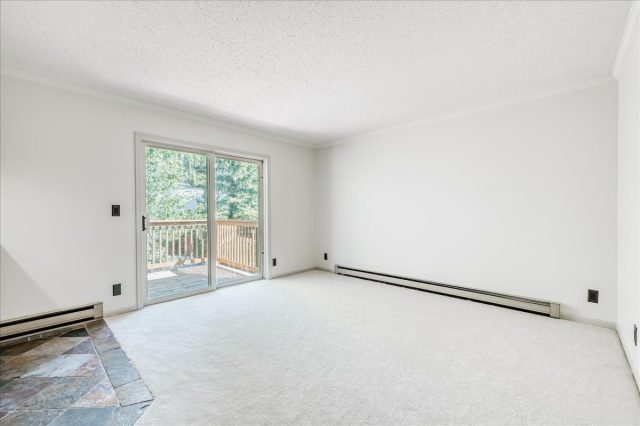 300 Illinois Gulch Road 210 photo 3