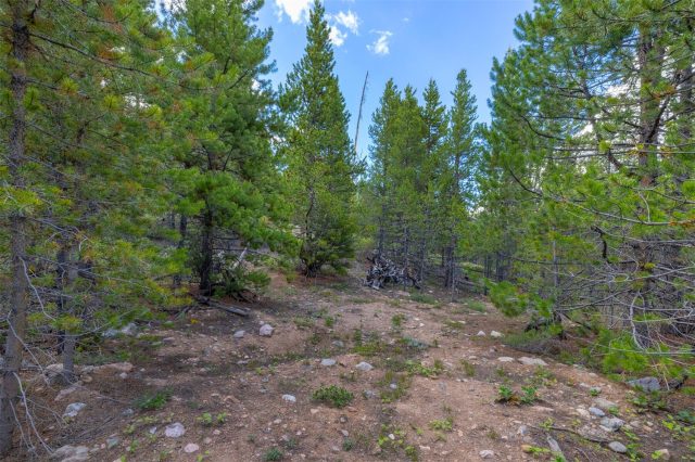 517 Giberson Lane photo 23