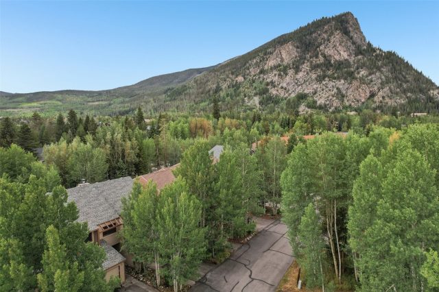 Townhome in Winterthur Townhomes, Frisco, CO (MLS S1071053)