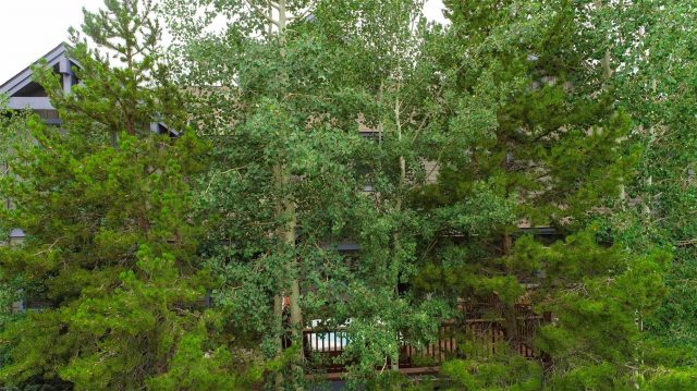 70 Oak Lane 70 photo 34