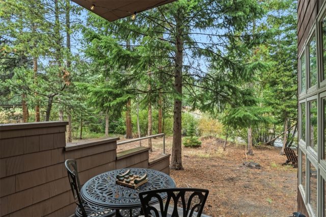 75 Galena Street 103 photo 30