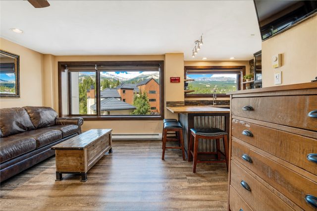 Condo in Liftside Condo, Breckenridge, CO (MLS S1071176)