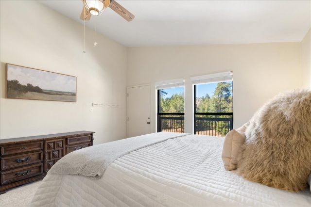 244 Lodgepole Street 33 photo 12
