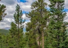 151 Emmett Lode Road photo 15