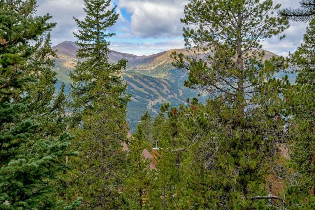 151 Emmett Lode Road photo 16