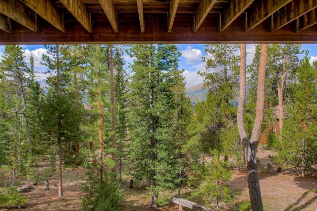 151 Emmett Lode Road photo 31