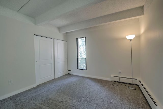 222 Creekside Drive 317 photo 19
