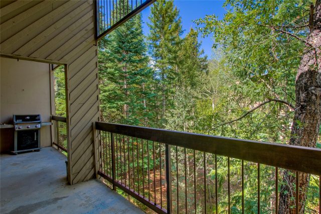 222 Creekside Drive 317 photo 30