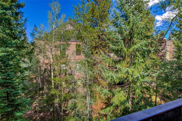 222 Creekside Drive 317 photo 32