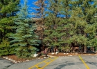 222 Creekside Drive 317 photo 37
