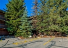 222 Creekside Drive 317 photo 38
