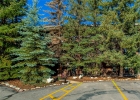 222 Creekside Drive 317 photo 39