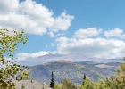 8100 Ryan Gulch Road 305 photo 42 8100 Ryan Gulch Road 305 photo 42