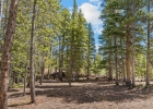 92 Emmett Lode Road B photo 42