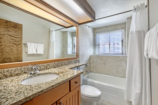 555 S Park Avenue 2205 photo 10