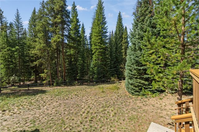 226 Alpen Rose Place 8725 photo 32