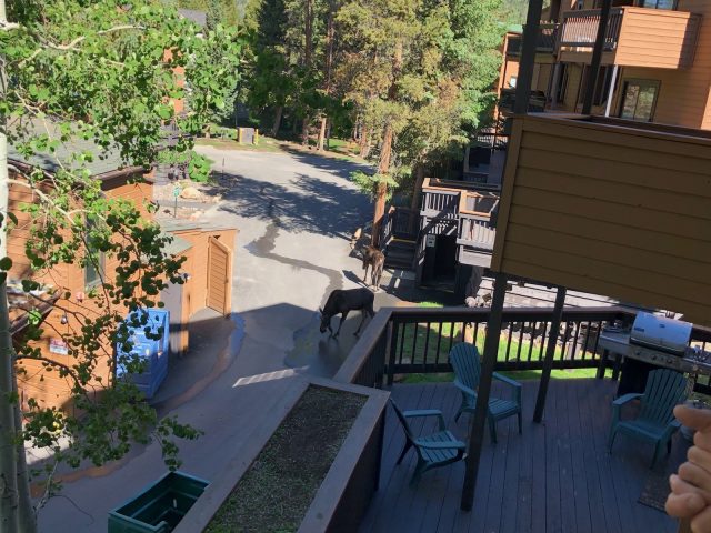 1513 E Keystone Road 21 photo 37