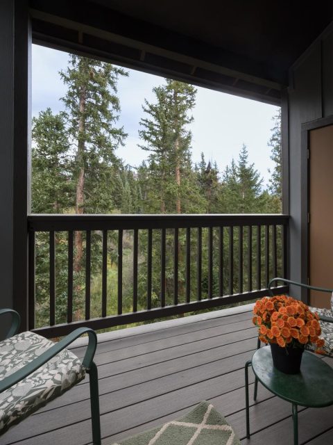 10000 Ryan Gulch Road 312 photo 6