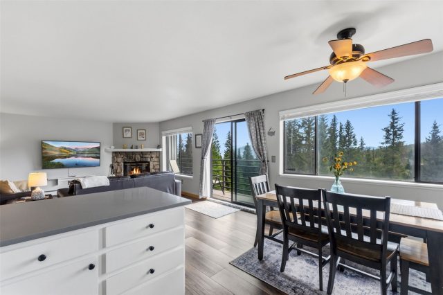 9849 Ryan Gulch Road 201 photo 11