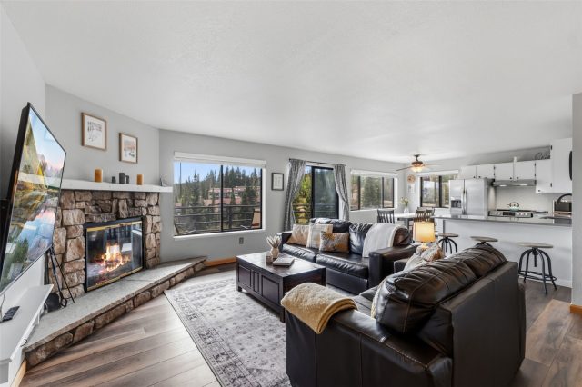 9849 Ryan Gulch Road 201 photo 5