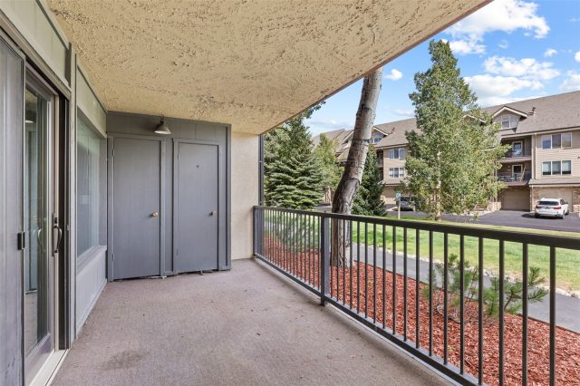 1127 9000 Divide Road 102 photo 30