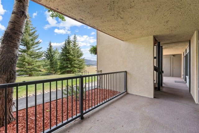1127 9000 Divide Road 102 photo 31